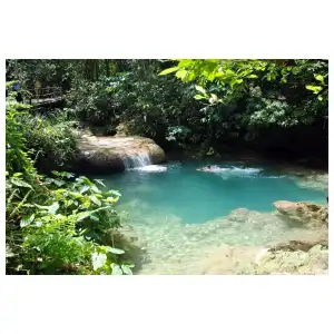Excursión a Las Terrazas miniatura 3